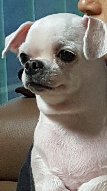 하기포토 이미지