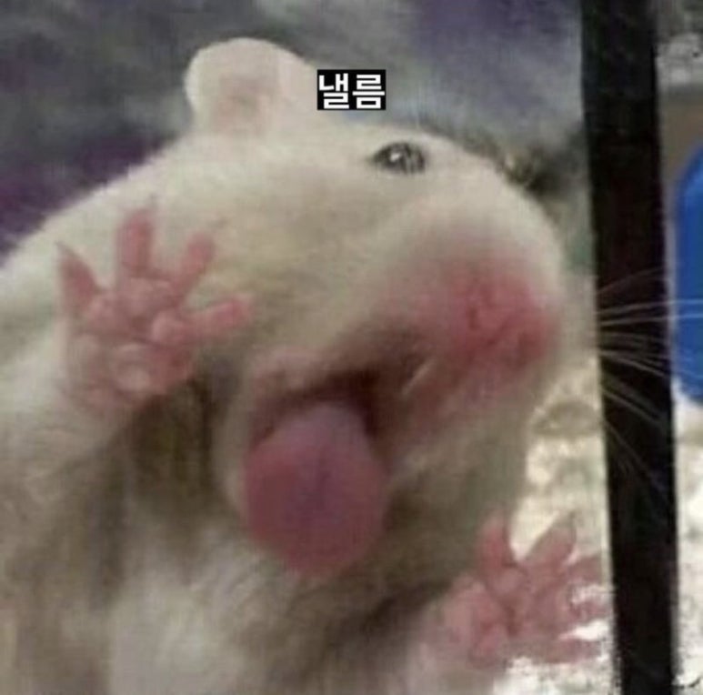 메리그린 이미지