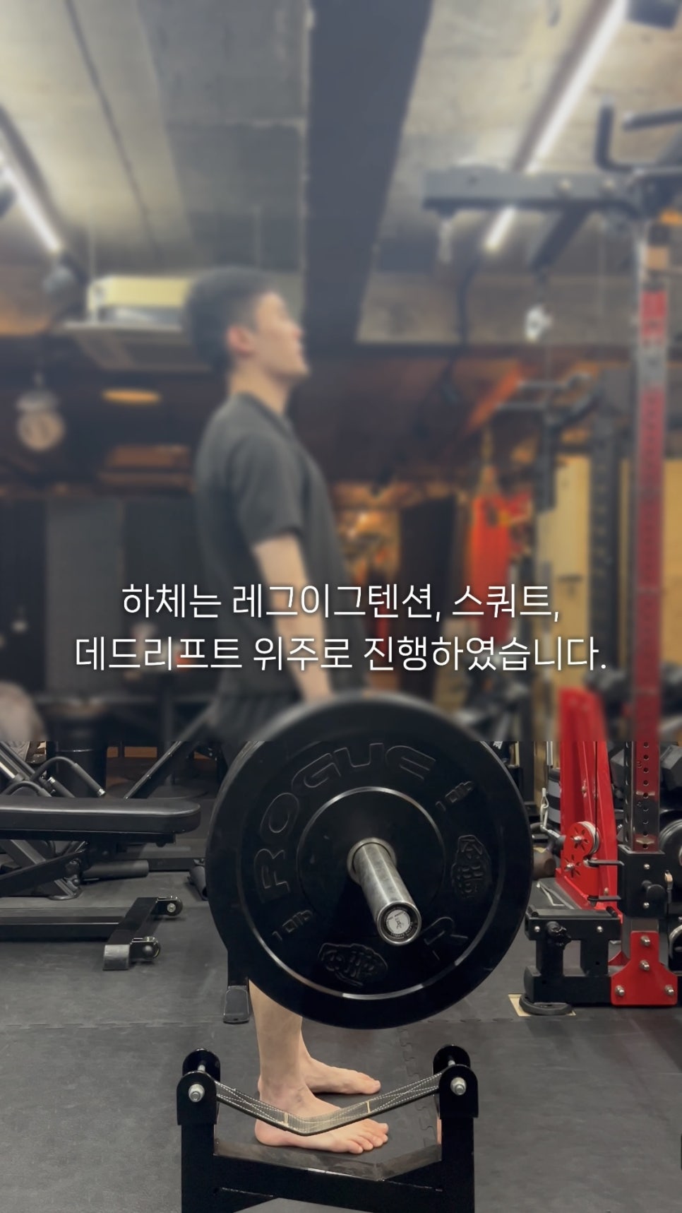 바오핏가락문정 이미지