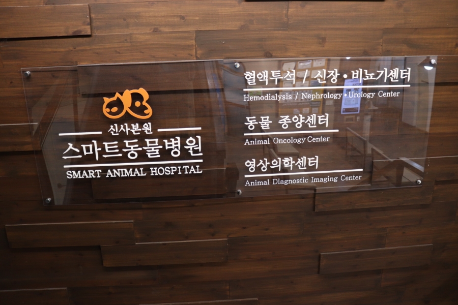 강아지 심장초음파 검사, 스마트동물병원 정밀 진단 비용 — 사진 5