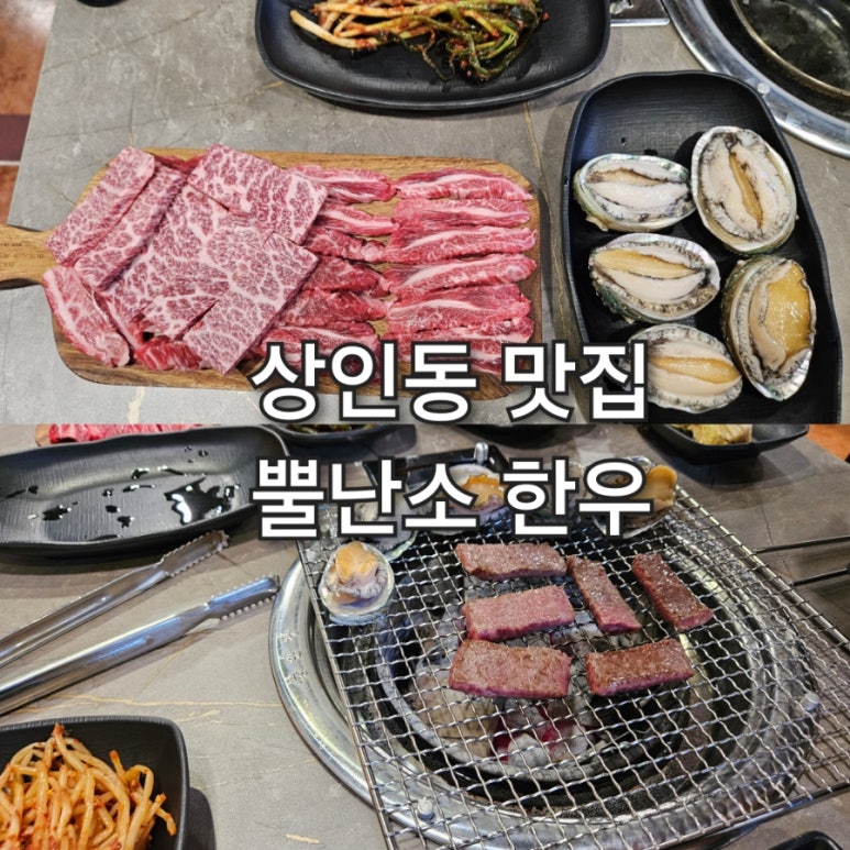 뿔난소 이미지