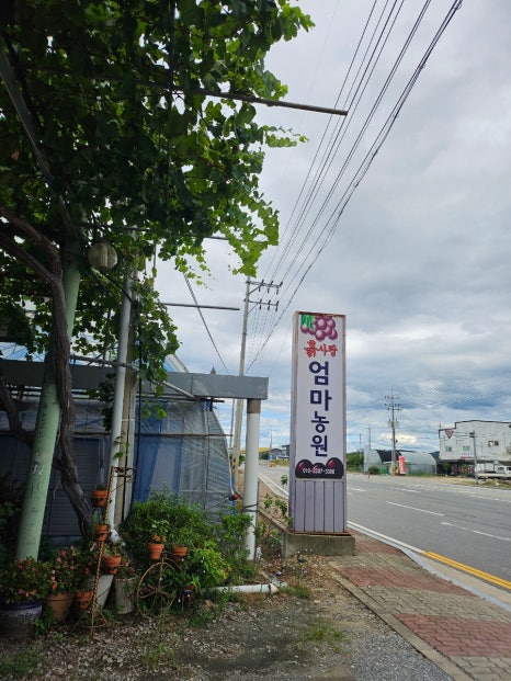 엄마사랑농원 이미지