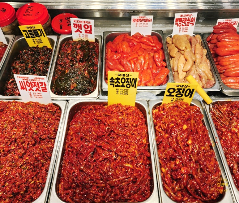 동아호 이미지