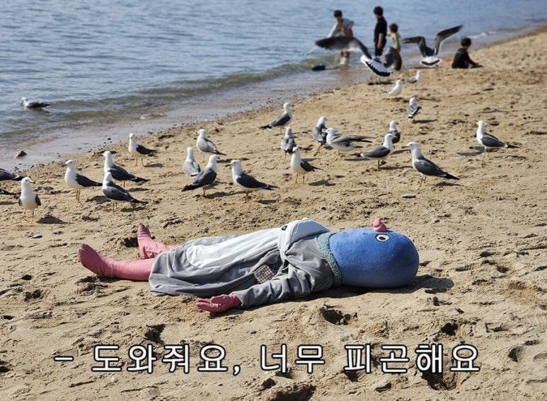 일순이네왕족발 이미지