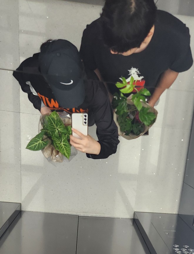 고타야의숲 이미지