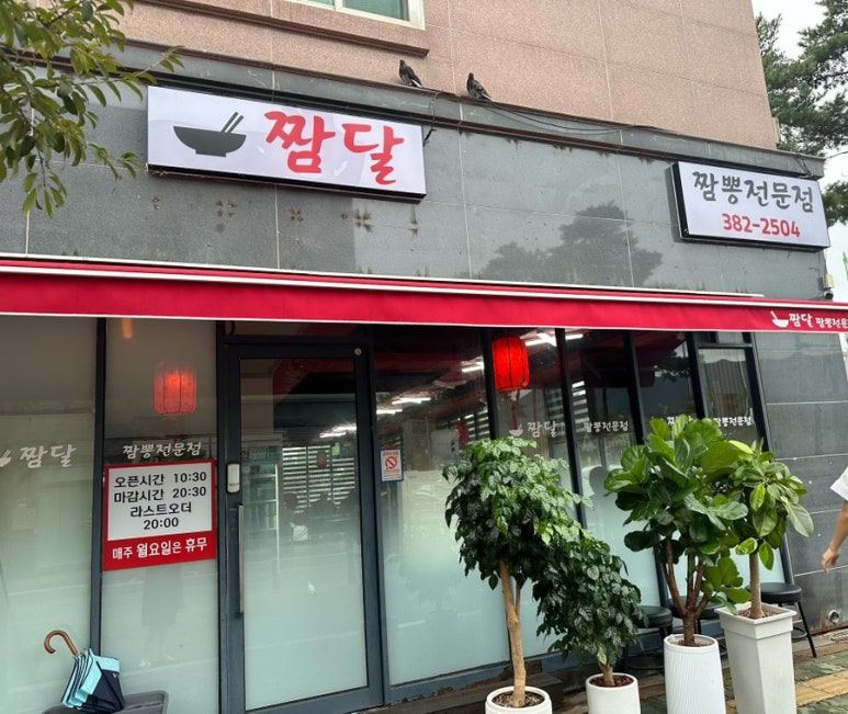 짬달 이미지