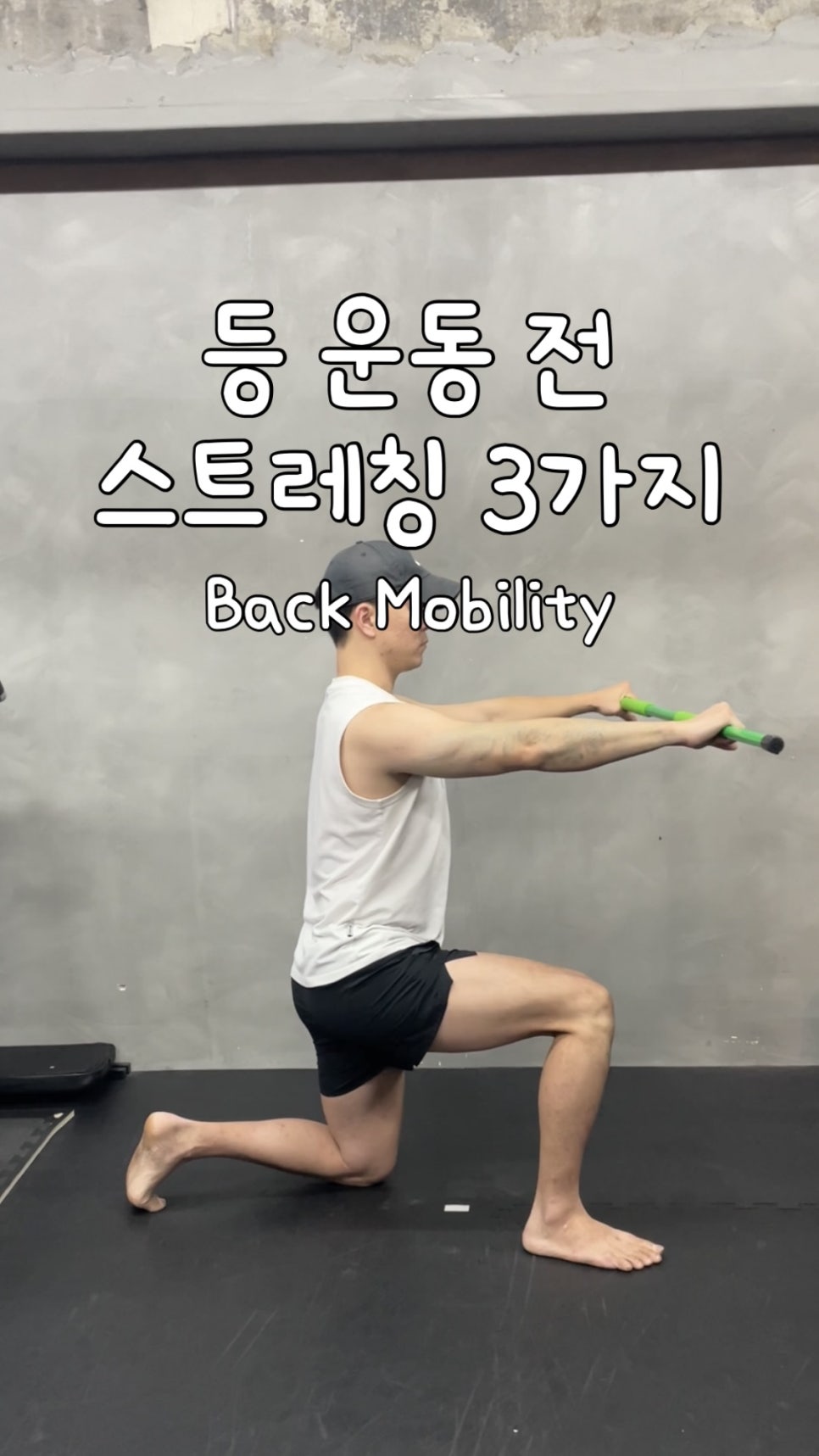 바오핏가락문정 이미지