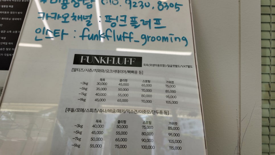 건대 펑크플러프 강아지 피자 만들기 원데이 클래스 후기 — 사진 3