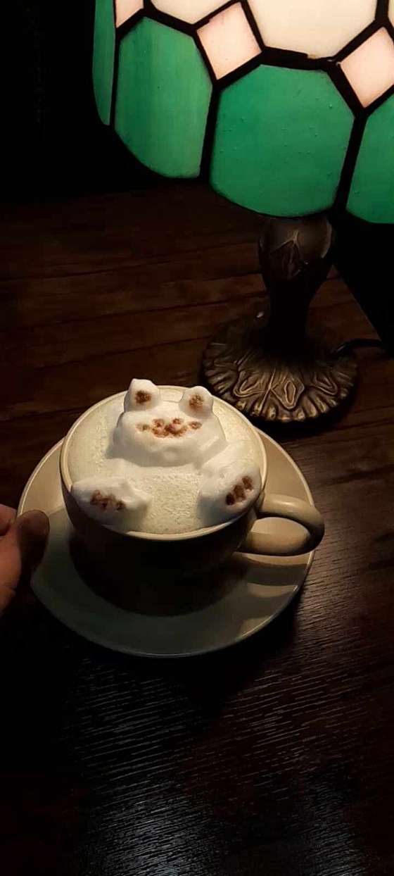 수리브라운 이미지