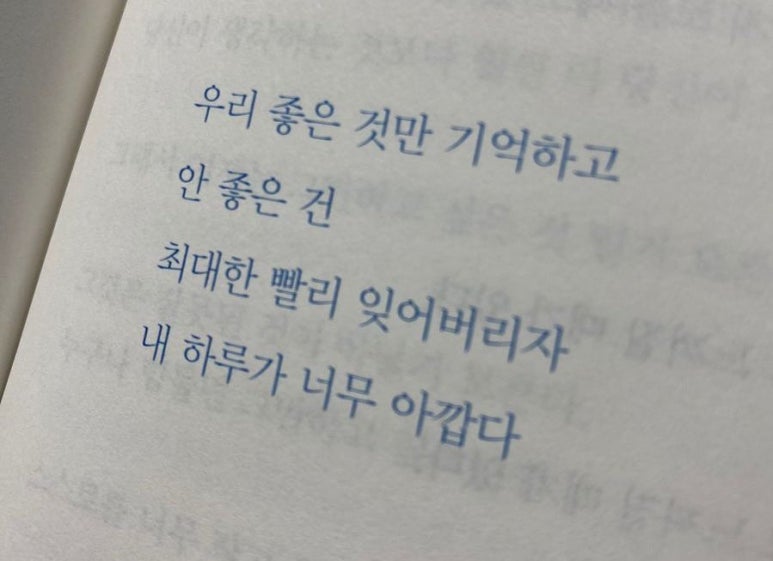 디디디 이미지