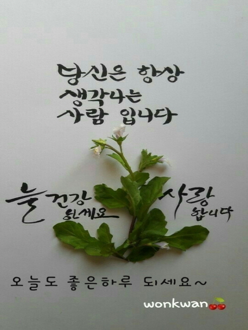 한신우동 이미지