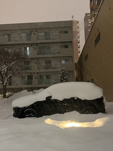 횻토코 이미지