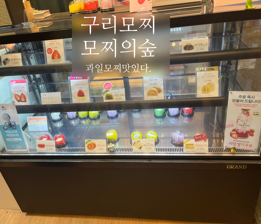 모찌의숲 이미지