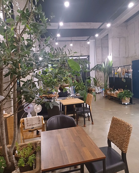 카페알로하 이미지