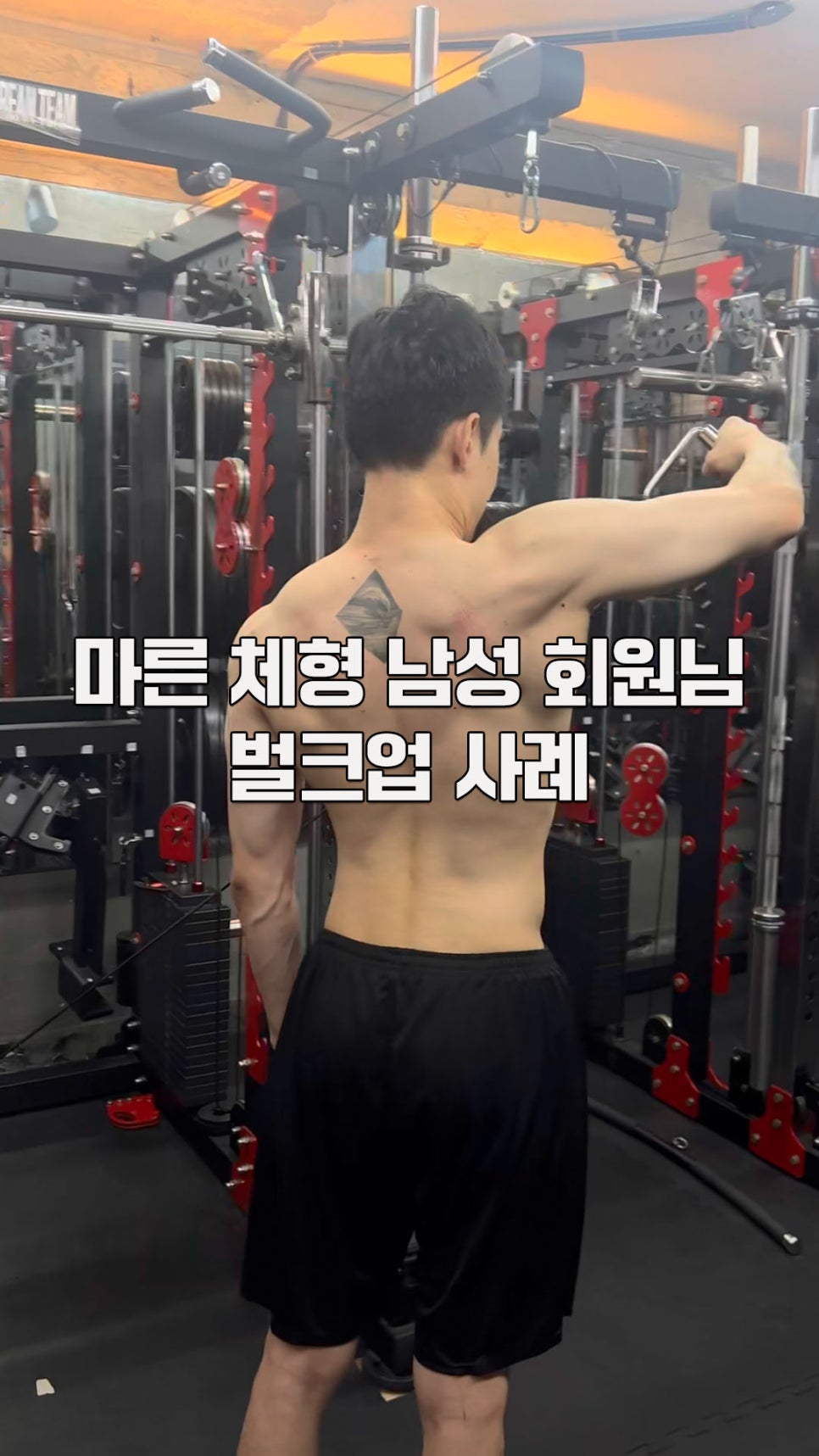 바오핏가락문정 이미지