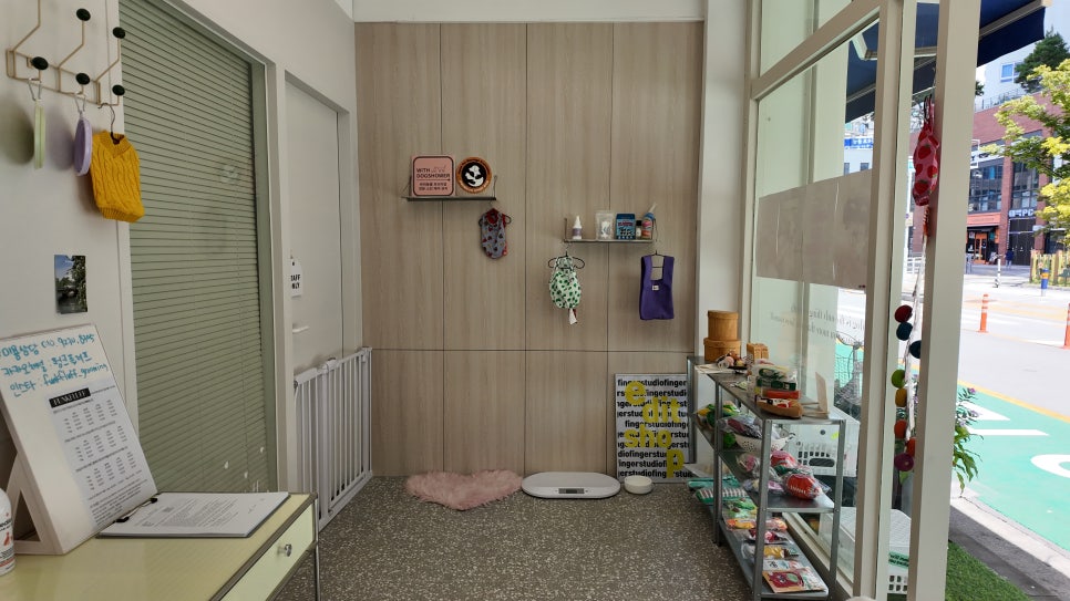 건대 펑크플러프 강아지 피자 만들기 원데이 클래스 후기 — 사진 8
