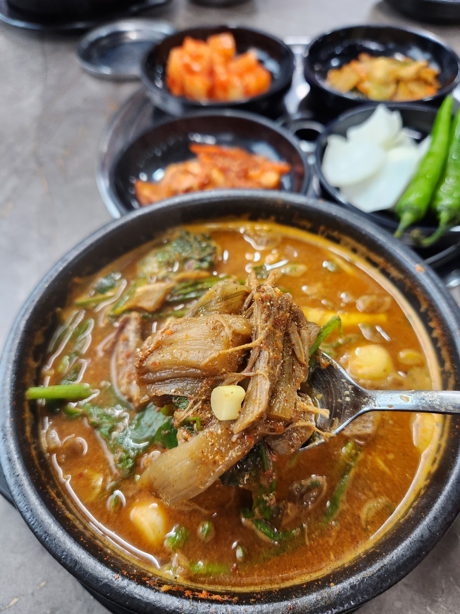 고산흑염소 이미지