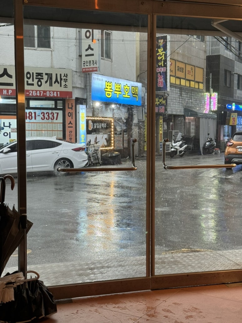 뽐뿌호맥 이미지
