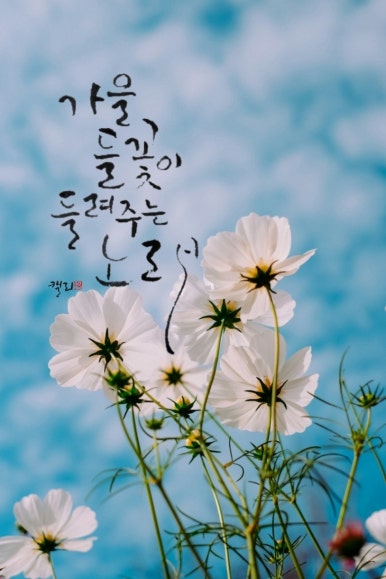 누리이엔씨 이미지
