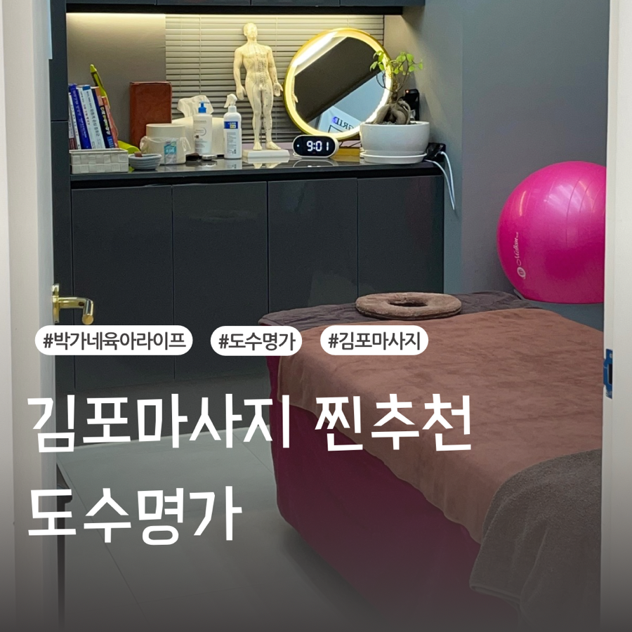 도수명가 이미지