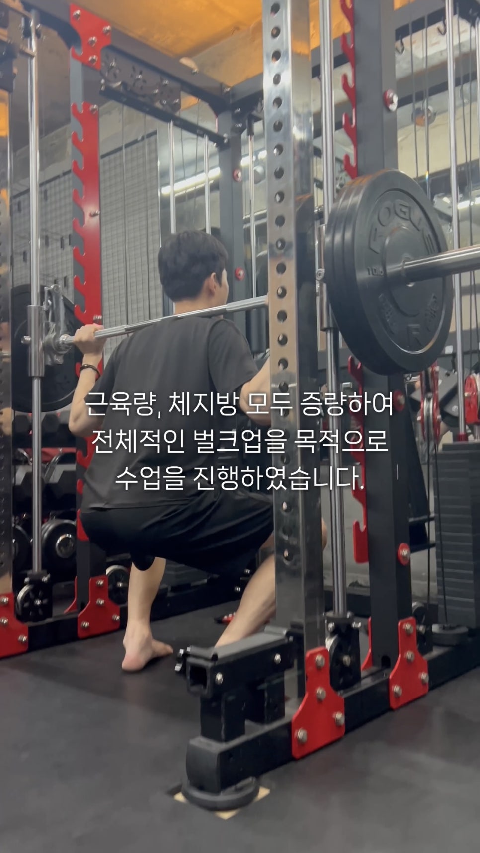 바오핏가락문정 이미지