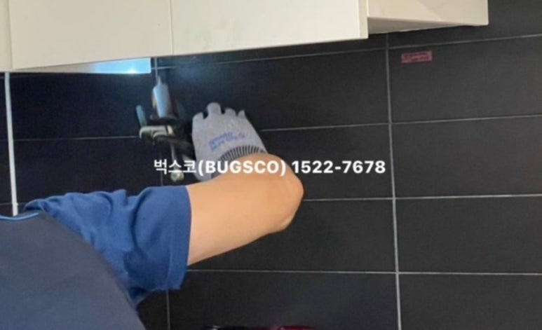 벅스코 이미지