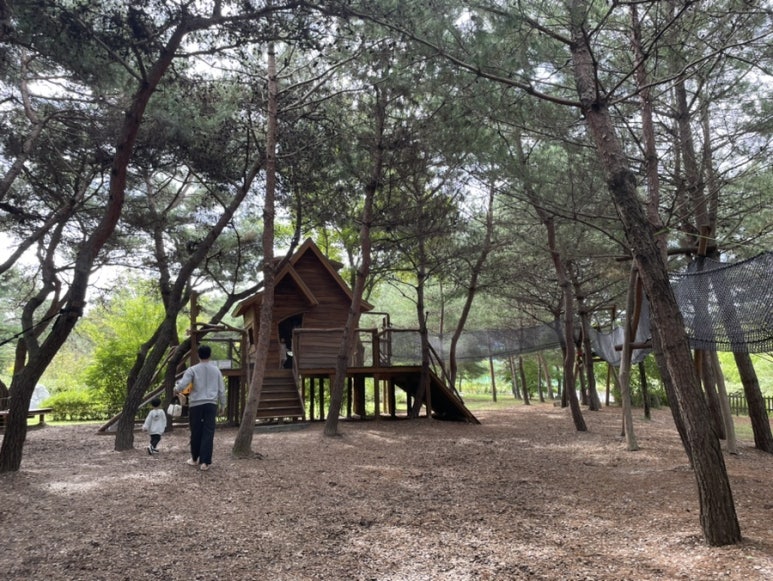 산림문화협동조합더그루 이미지