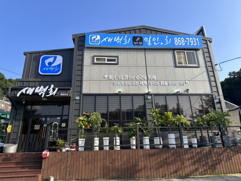 새벽회세종 이미지
