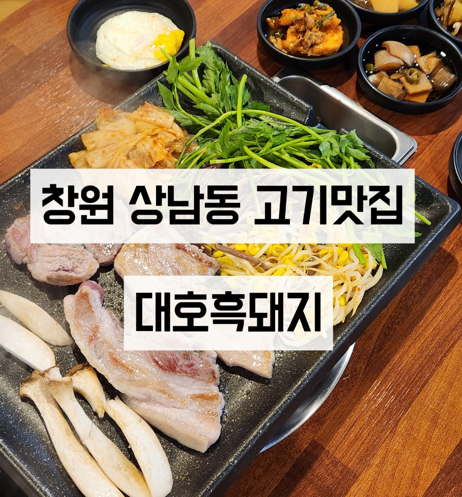 대호흑돼지 이미지