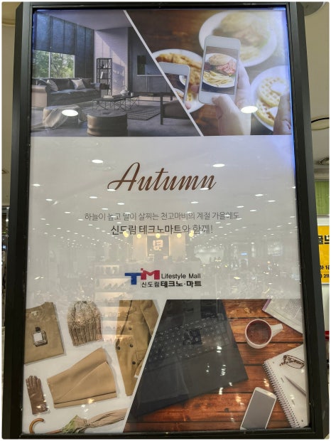 폰파는청년 이미지