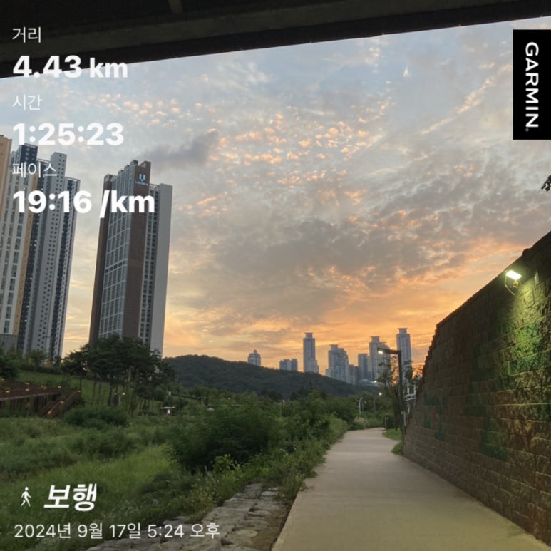 카페인24(cafein24) 이미지