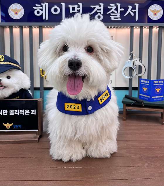 24시무인할인마트 이미지