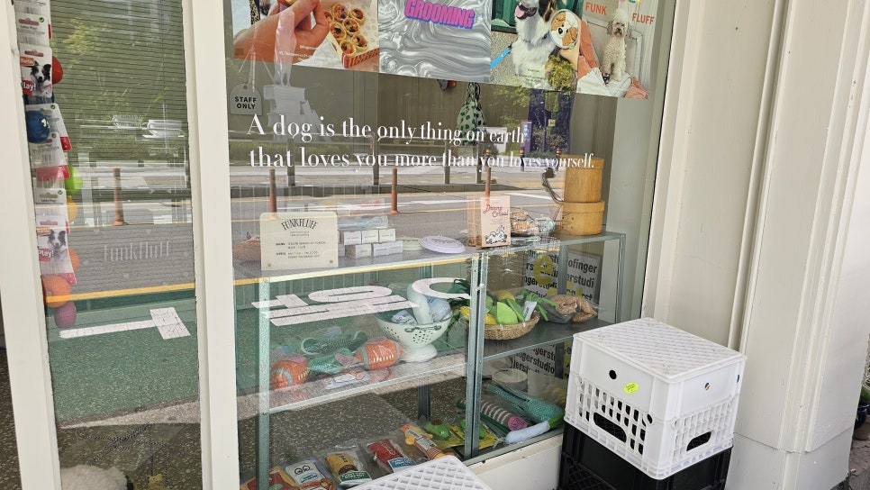 건대 펑크플러프 강아지 피자 만들기 원데이 클래스 후기 — 사진 9