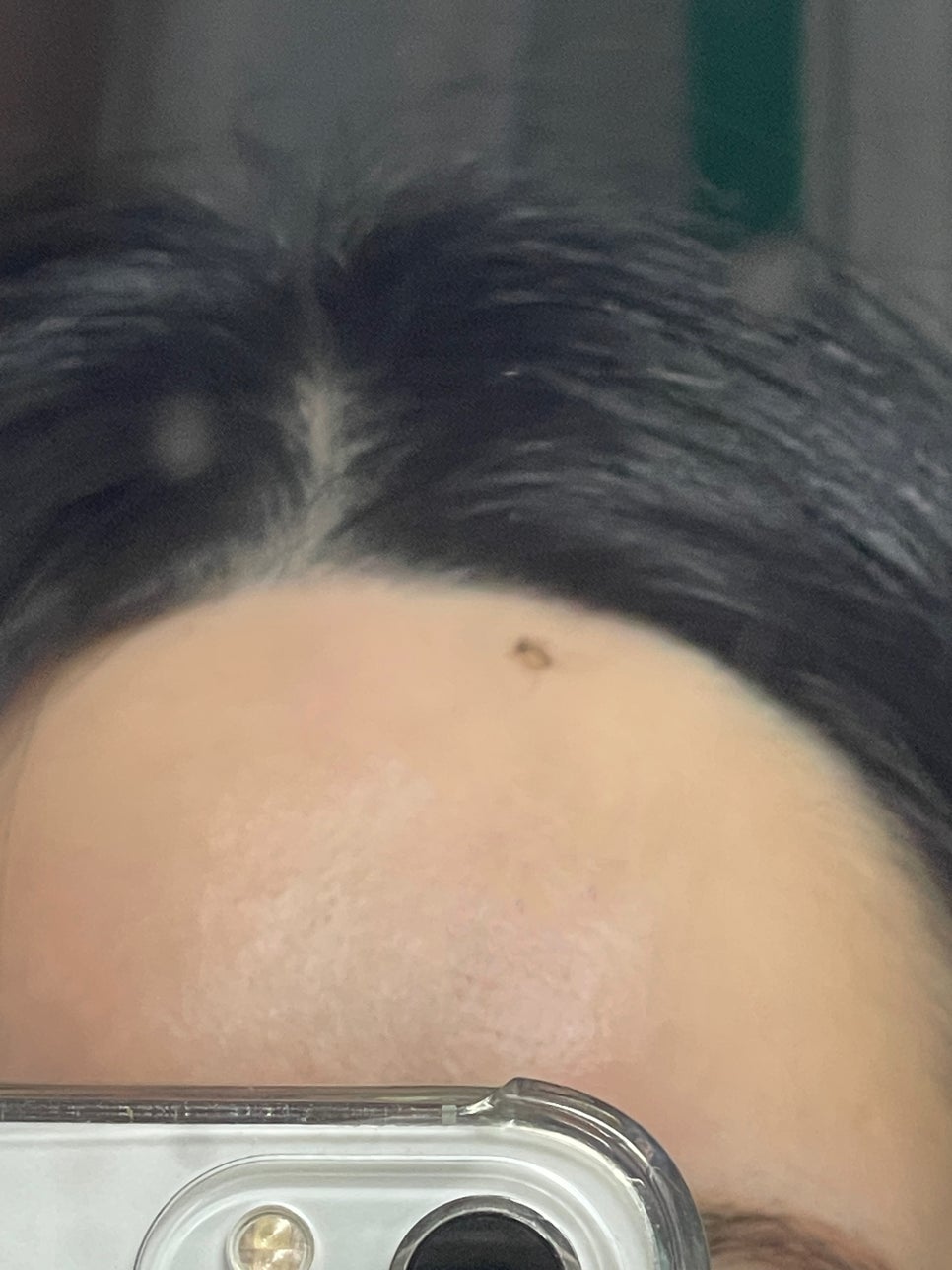 데이롱연수 이미지