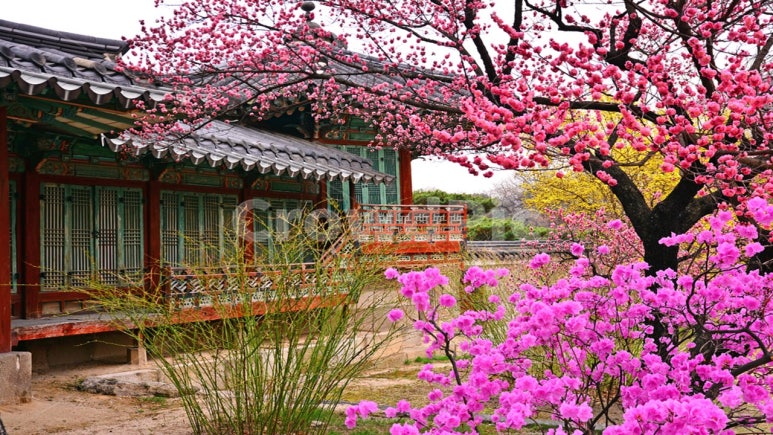계절옷장 이미지