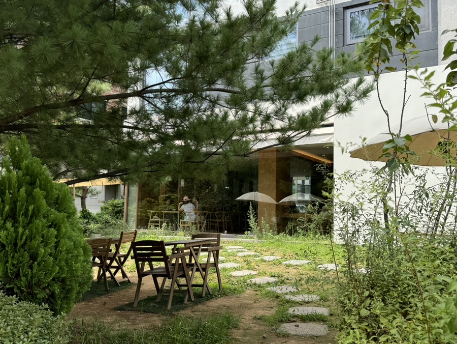 그라비에 이미지