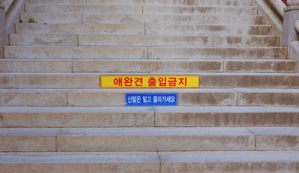 용궁카페 이미지