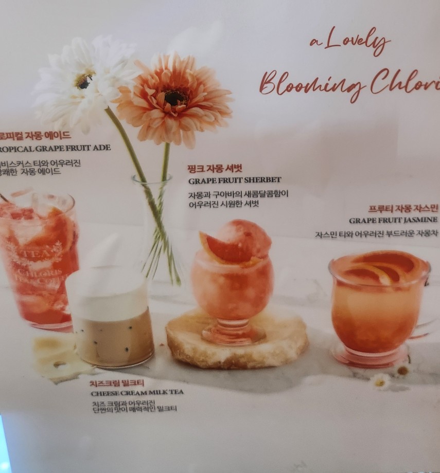 클로리스청주 이미지