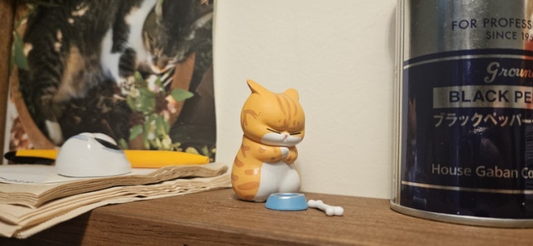 요기따 이미지
