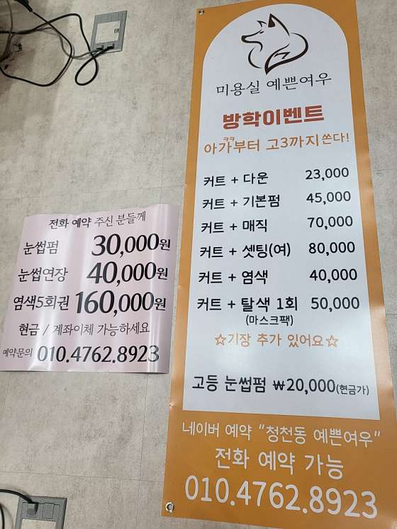 예쁜여우 이미지