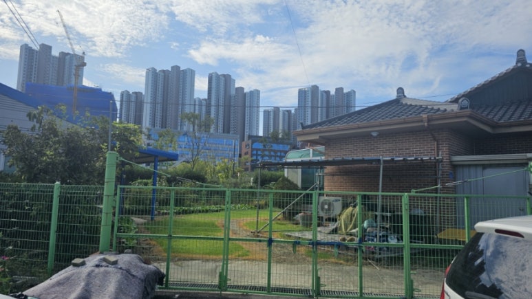 노루페인트원일 이미지