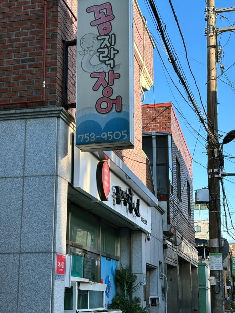 망경장어 이미지