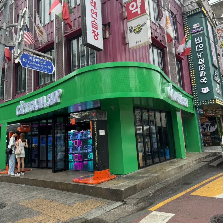 캐칭덕 이미지