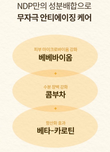 영베베 이미지