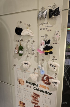 레발콩 이미지
