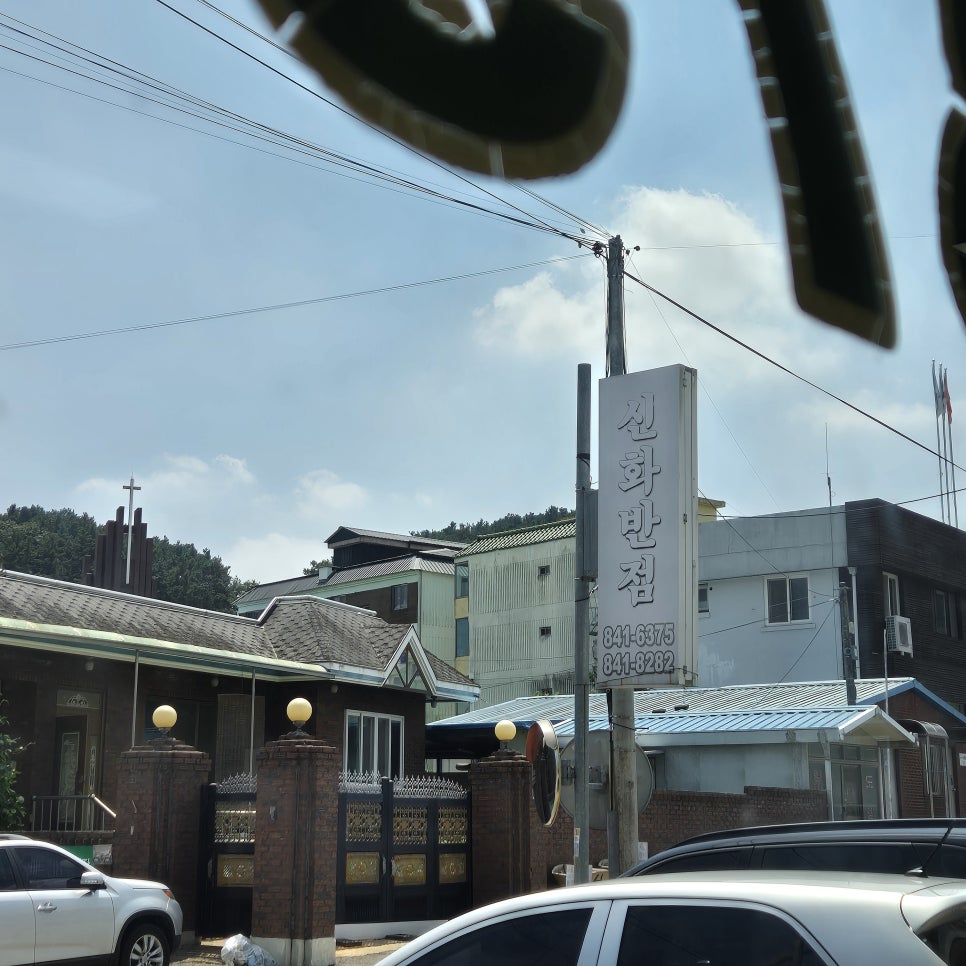 신화반점 이미지