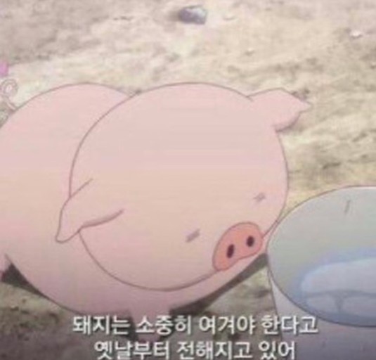 리디아스튜디오 이미지