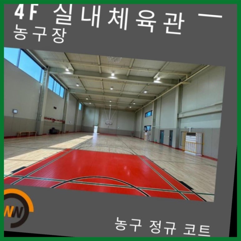 윈윈스포츠 이미지