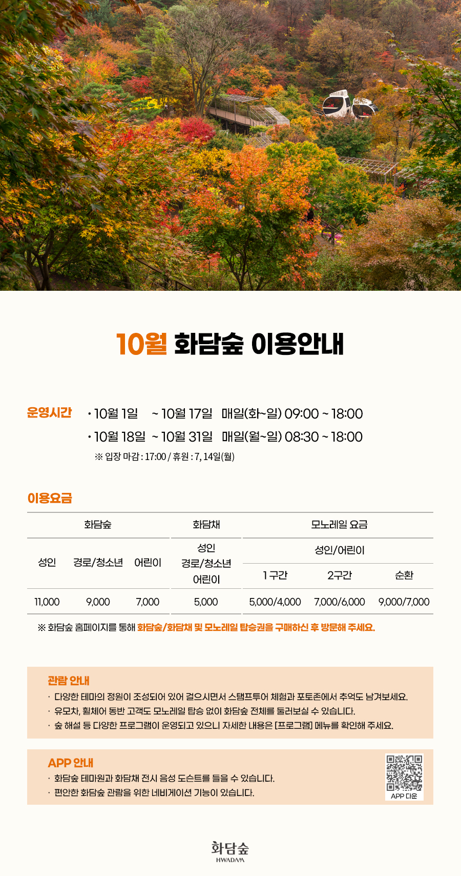네일:화담 이미지