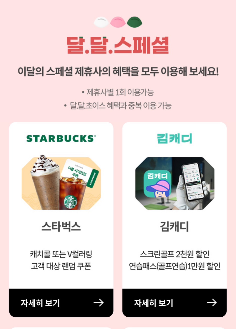 케이티안 이미지